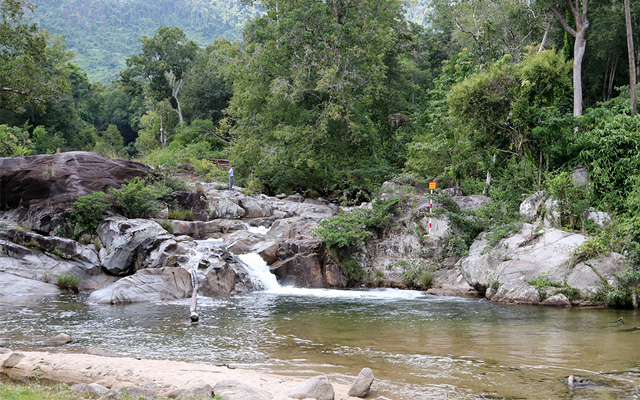 Khám phá hệ sinh thái vô phong phú